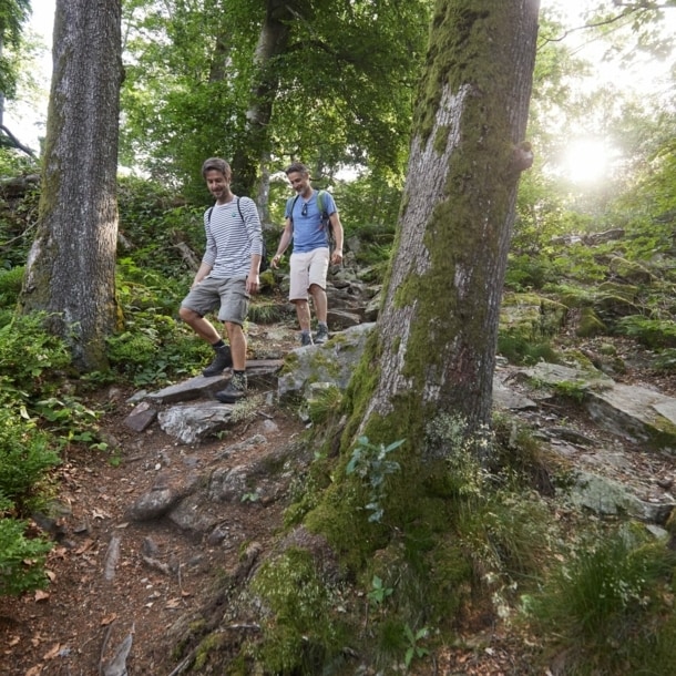 Zwei Männer gehen durch einen Wald einen steinigen Hügel herunter