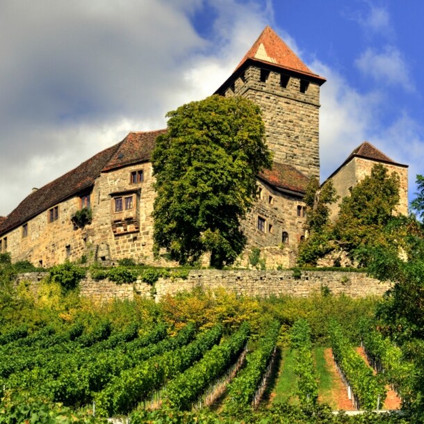 Die alte Burg Lichtenberg umgeben von Weinbergen