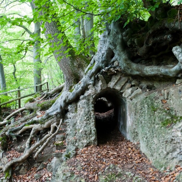 Römisches Relikt unter Baumwurzel im Laubwald