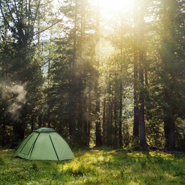 Ein Zelt steht auf einer Lichtung im Wald.