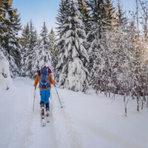 Rückansicht eines Langläufers in einem verschneiten und sonnigen Wald