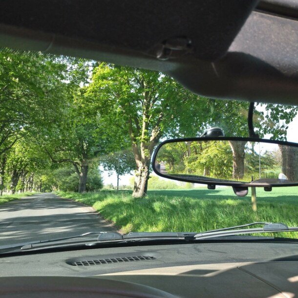 Blick durch die Frontscheibe eines Autos in die grüne Landschaft