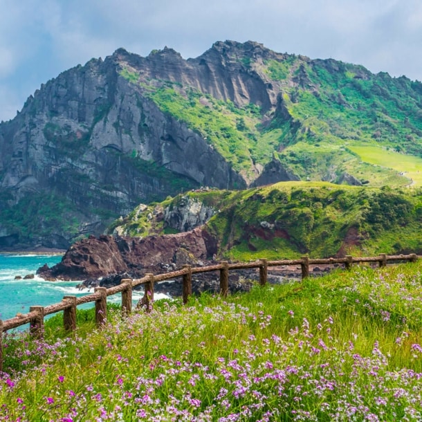 Die vulkanische Seongsan Ilchulbong auf der Insel Jejudo in Südkorea.