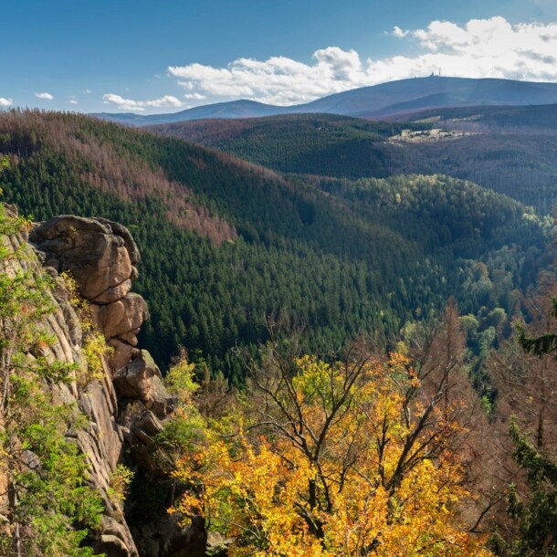 Blick über Waldlandschaft mit Gipfeln im Hintergrund im Herbst, ein Felsen im Vordergrund.