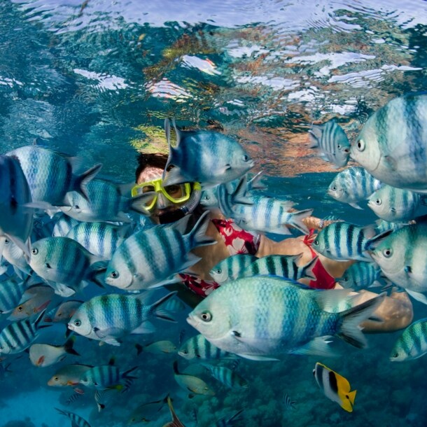 Eine Frau mit gelber Taucherbrille unter Wasser zwischen einem Schwarm weiß-blau-gestreifter Fische.