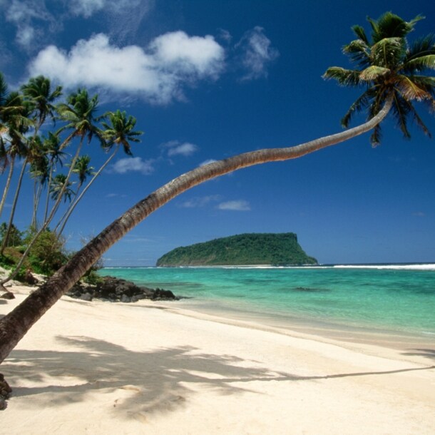 Weißer, palmengesäumter Sandstrand an türkisblauem Meer, im Vordergrund eine waagerecht gewachsene Palme.