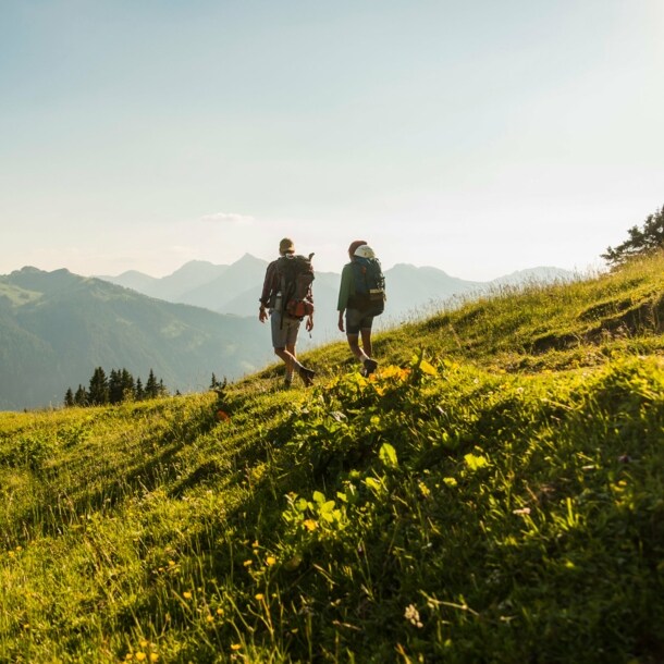 Rückenansicht von zwei Personen, die über eine Bergwiese in Österreich wandern.