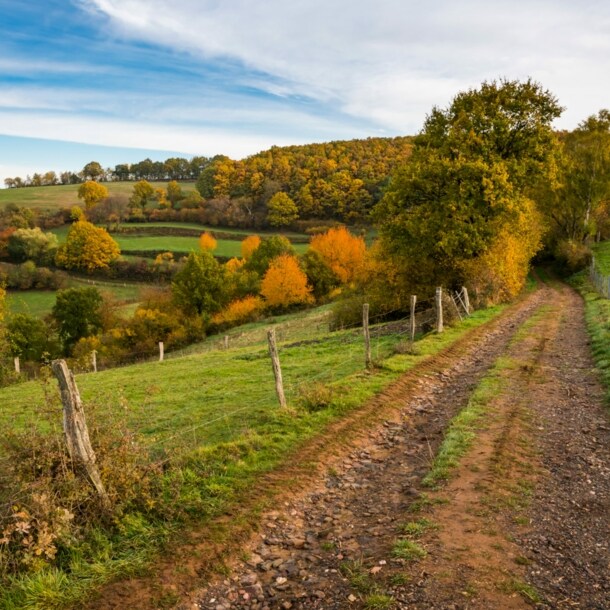 Ein Feldweg durch eine hügelige Wiesen- und Waldlandschaft im Herbst.