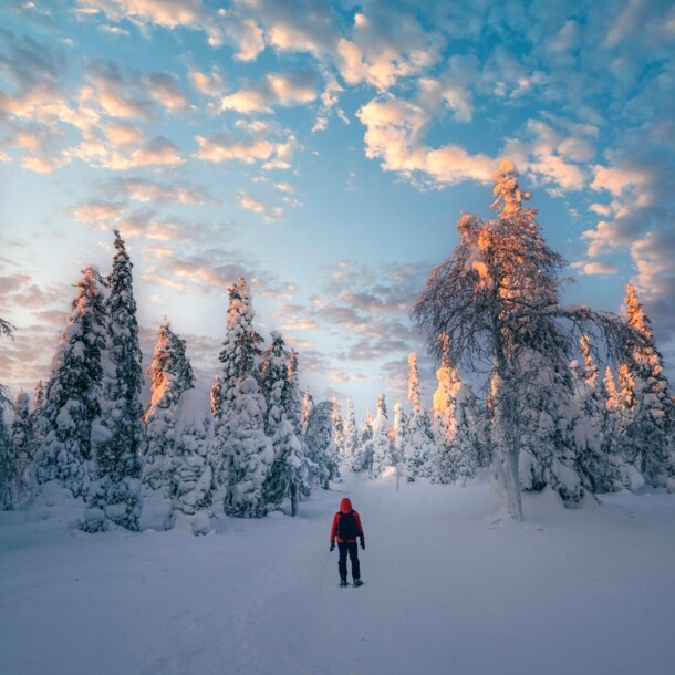 Eine Person von hinten in einem verschneiten Wald.