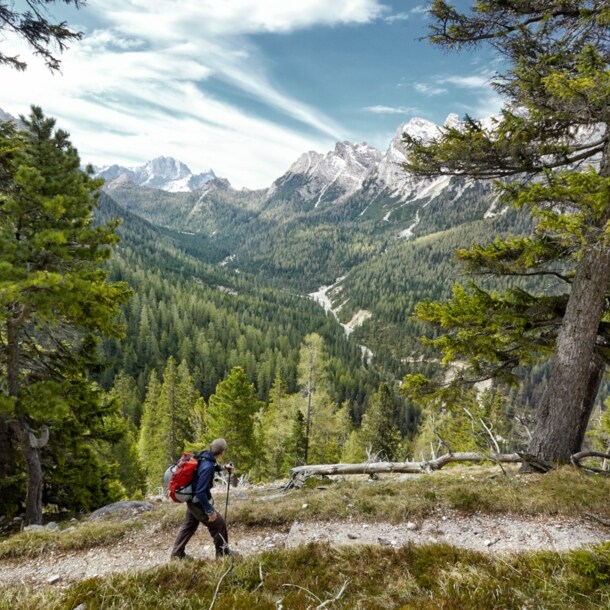 Eine Person in Wanderausrüstung auf einem bewaldeten Weg, im Hintergrund hohe Berge.