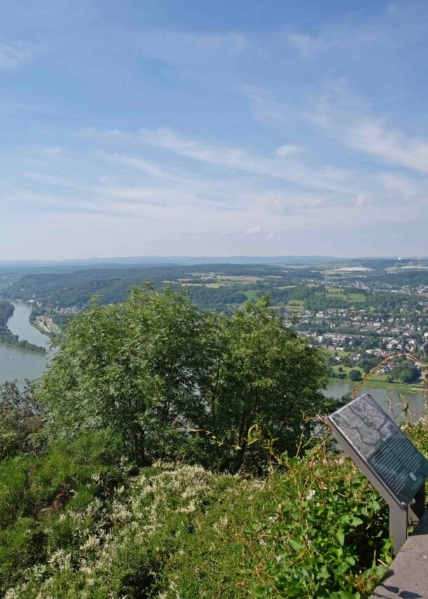 Blick von einem Aussichtsplateau auf das Rheintal mit einer kleinen Beethoven-Statue und grünen Pflanzen im Vordergrund