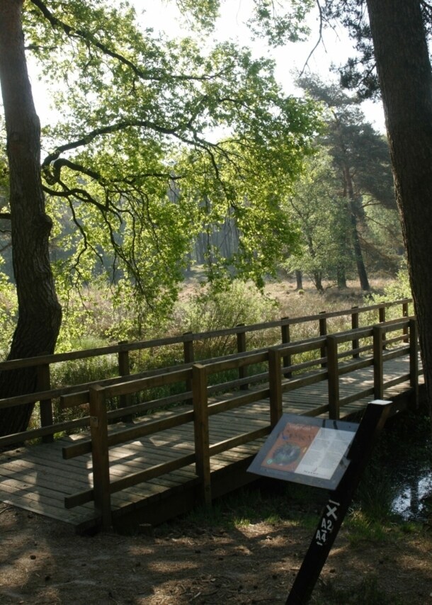 Eine kleine Holzbrücke führt über einen Bach