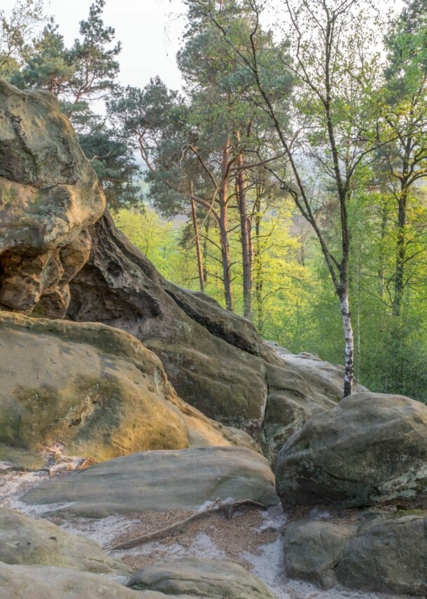 Blick auf die Dörenther Klippen im Teutoburger Wald.