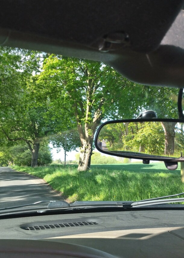 Blick durch die Frontscheibe eines Autos in die grüne Landschaft