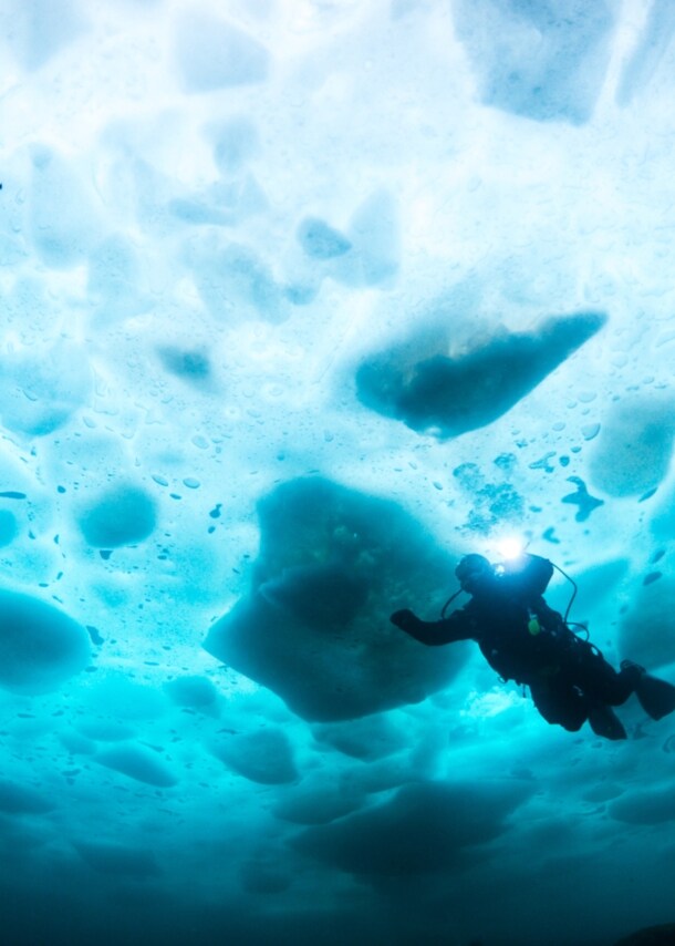 Person in Taucherausrüstung, die im Wasser unter einer Eisdecke schwimmt.