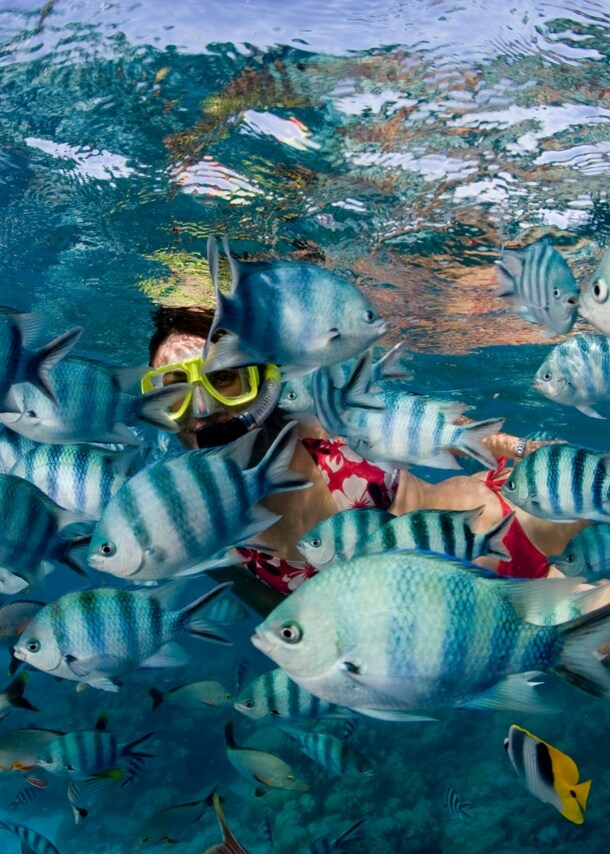 Eine Frau mit gelber Taucherbrille unter Wasser zwischen einem Schwarm weiß-blau-gestreifter Fische.