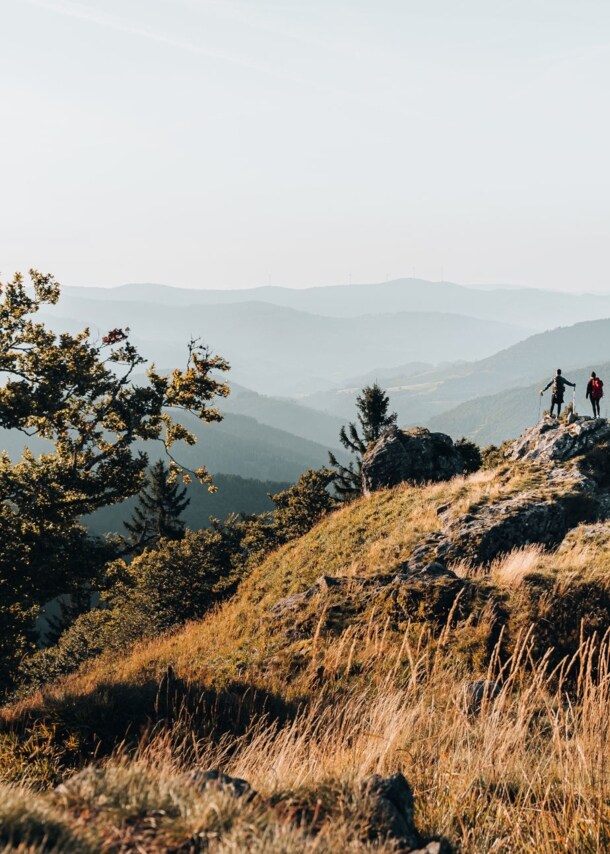 Zwei Personen stehen auf einem Felsen und blicken in die Ferne, im Hintergrund Gipfel im Schwarzwald.