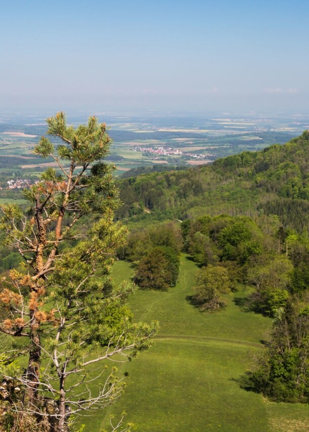 Panorama in der Schwäbischen Alb mit Burg Hohenzollern.