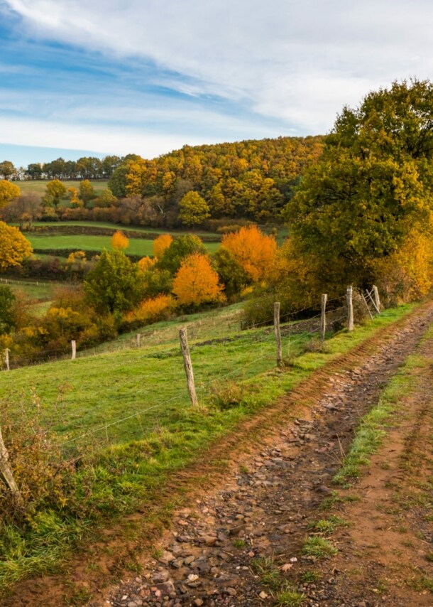 Ein Feldweg durch eine hügelige Wiesen- und Waldlandschaft im Herbst.