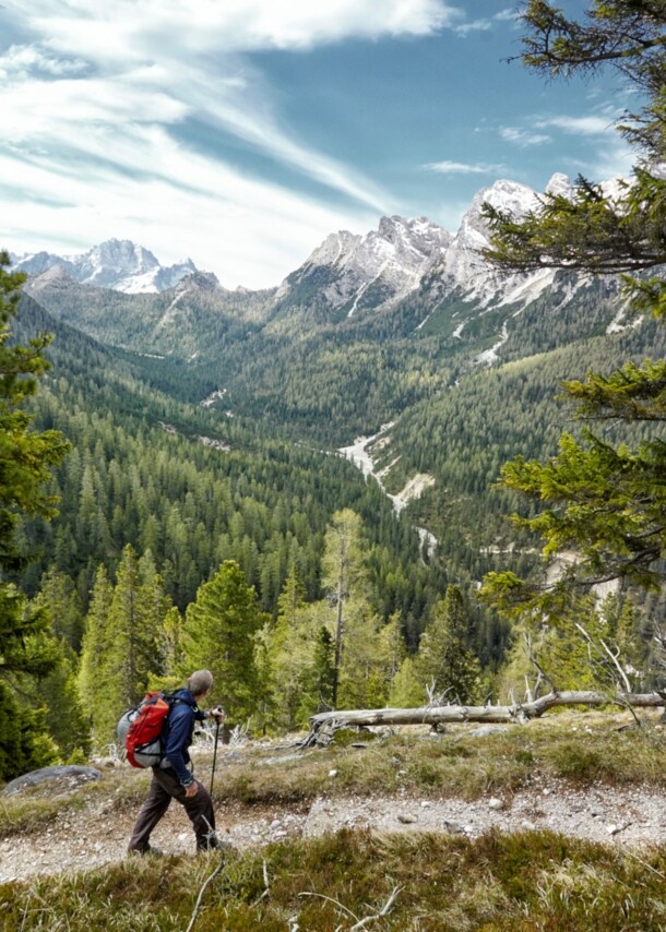 Eine Person in Wanderausrüstung auf einem bewaldeten Weg, im Hintergrund hohe Berge.