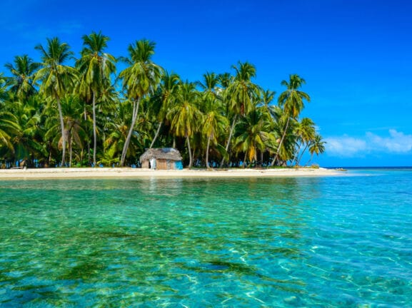 Eine kleine Insel mit Palmen umgeben von türkisblauem Meer.