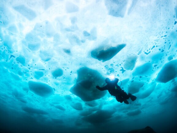 Person in Taucherausrüstung, die im Wasser unter einer Eisdecke schwimmt.