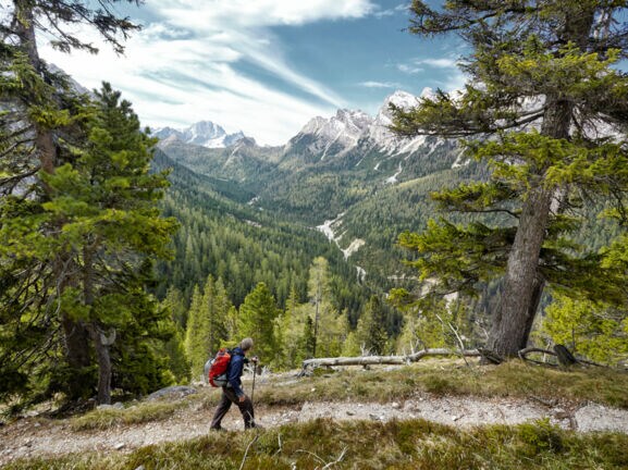 Eine Person in Wanderausrüstung auf einem bewaldeten Weg, im Hintergrund hohe Berge.