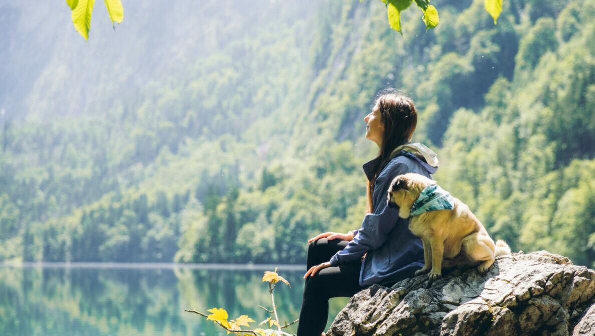 Eine Person und ein kleiner Hund sitzten zusammen auf einem Felsen vor einem See, der von Wald umsäumt ist