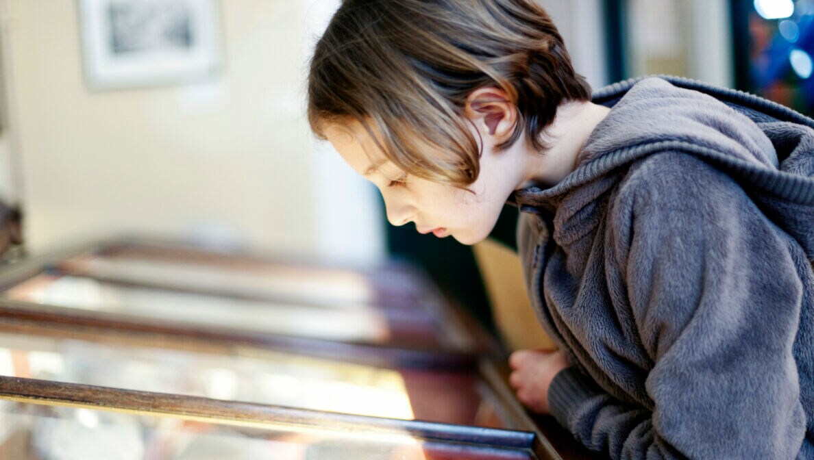Ein Kind schaut in eine Vitrine, in der Gegenstände ausgestellt sind.