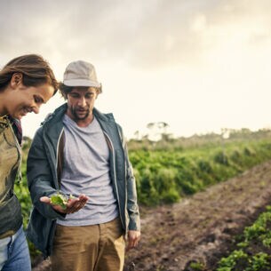 Ein Mann und eine Frau auf einem Feld, die Gemüse begutachten