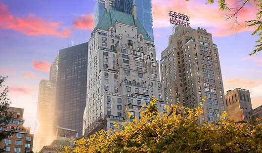 The Ritz-Carlton New York, Central Park | Fine Hotels + Resorts | Amex ...