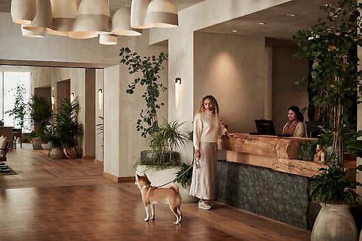 Pet Friendly Luxury Hotels Resorts American Express Travel CR